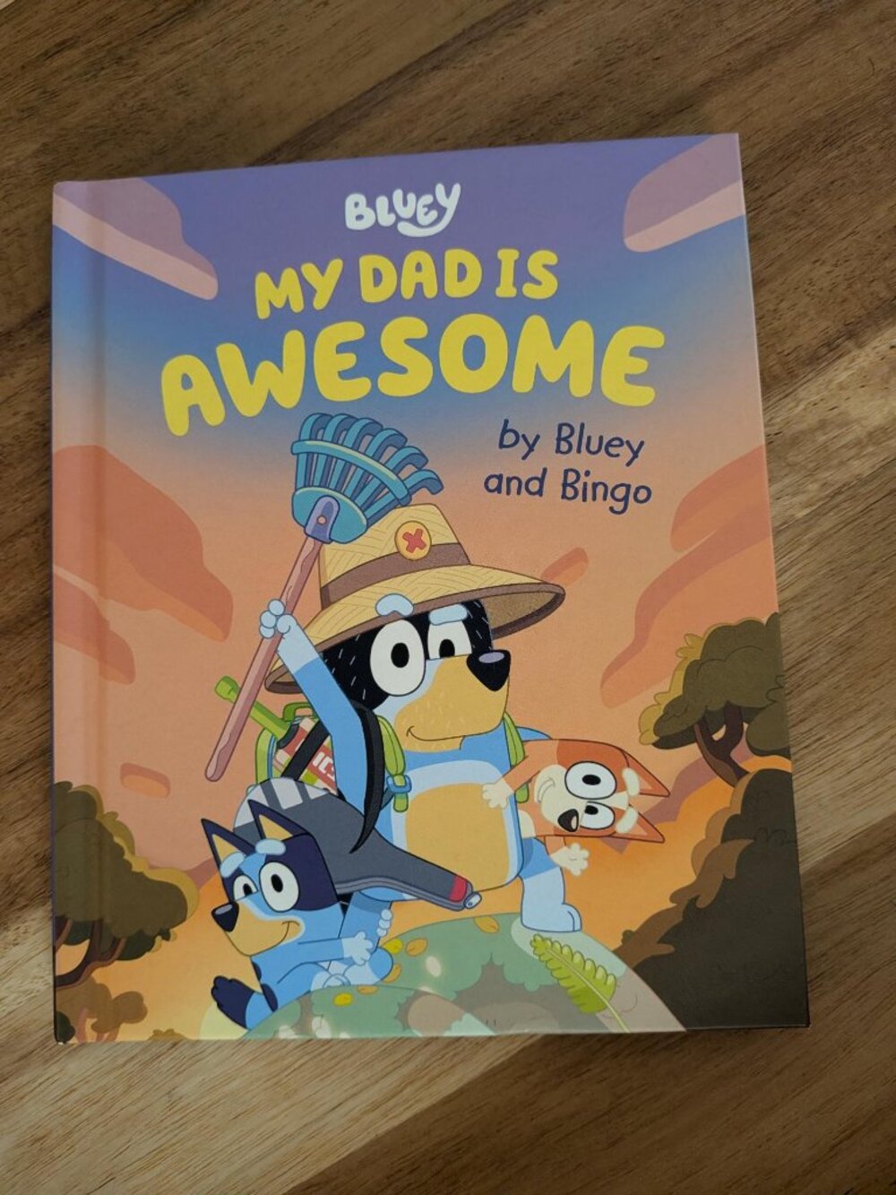 Bluey "My Dad Is Awesome" Book